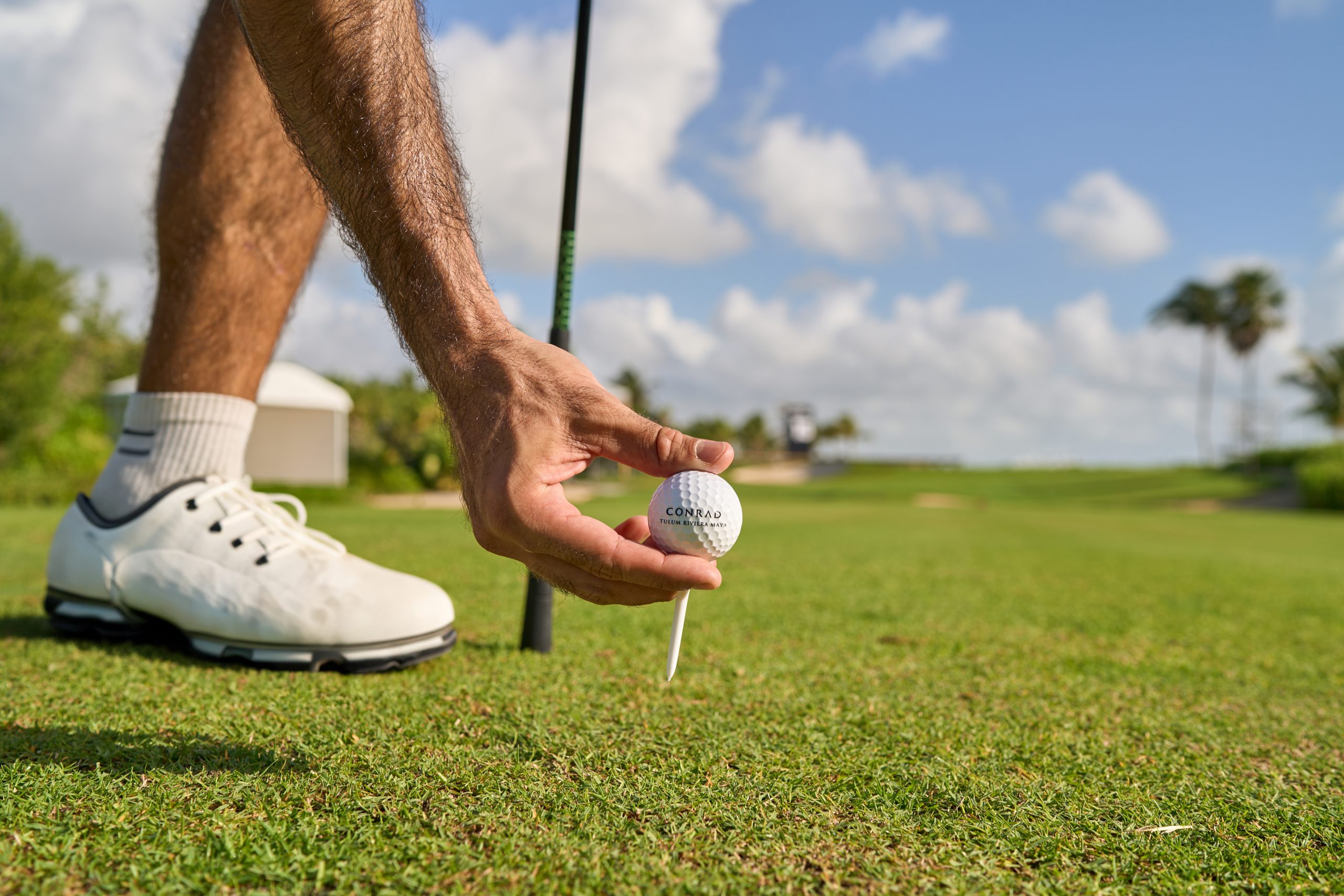 La mano de un hombre ajustando delicadamente la pelota de golf en el green.