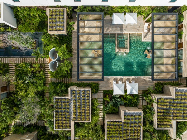 An aerial photo captures the pool surrounded by lush, vibrant greenery all around.