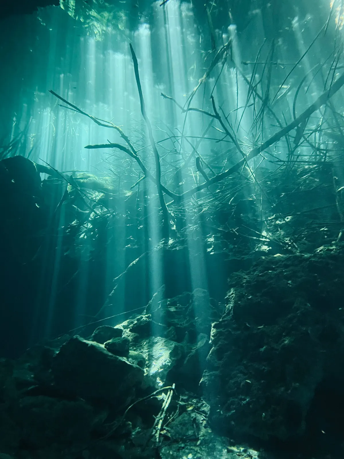 Vista submarina dentro de un cenote con rayos de sol atravesando el agua clara pasando ramas sumergidas y roca caliza cerca de Cancún