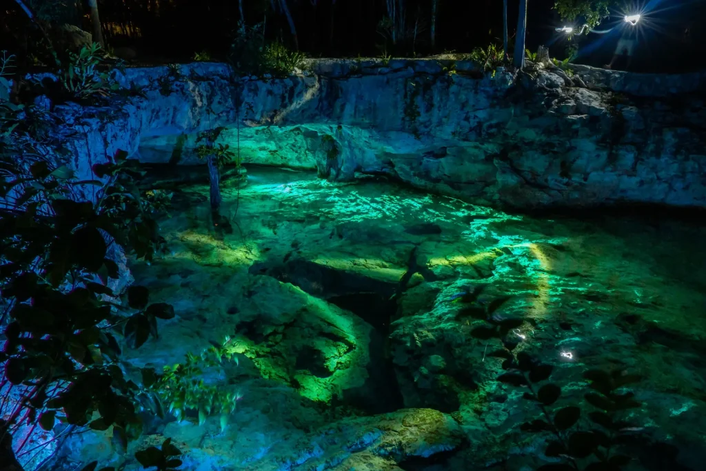 Nature - Cenote Near Riviera Maya - Illustrative